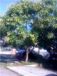 586e8bf9-photo1.jpg