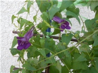 587650a4-DSCN0812.JPG