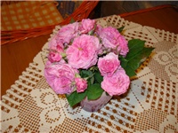 587671f1-DSC07229.JPG