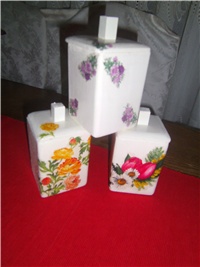 58879efe-IMG_0108.JPG