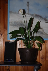 58f2cd8a-DSC_0994.JPG