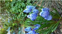 593c5ee2-P_20180407_152534.jpg
