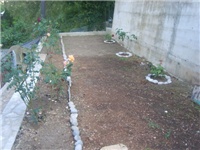 594422e4-S8301272.jpg
