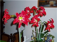 594886de-P1010243a.jpg