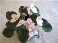 59cb6899-PICT0294.JPG