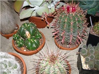 5a0e560a-IMG_2749.jpg