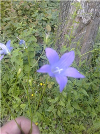 5a339551-Fotografija0319.jpg