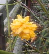 5a3ca996-DSCN4022a.jpg