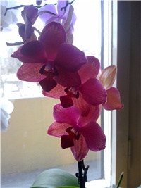 5ad6bd18-290220121591.jpg
