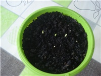 5b900ae5-082.JPG