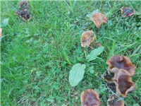 5bb41ef1-DSCN2027.JPG