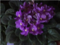 5bd50aca-PICT0288.JPG