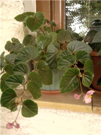 5c820009-Fotografija0119.jpg