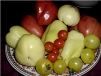5d424124-DSCI1629.JPG
