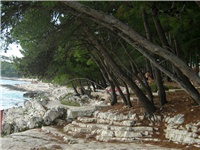 5d4359b7-Ljeto2010.jpg