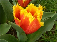 5d7d9a48-P4250539.JPG