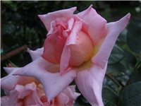 5dcf457a-IMG_0742.jpg