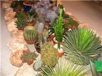 5e03d619-IMG_2763.jpg