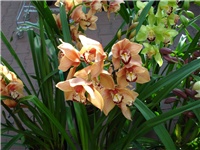 5eea35da-DSC06700.JPG