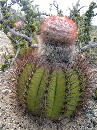 5f33937d-qu.jpg