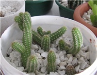 5f7b9c06-sshot-2013-01-27-18-06-24.jpg