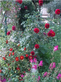 5fa91ad5-004.JPG