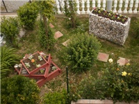 5fbc8bce-P5060651.JPG