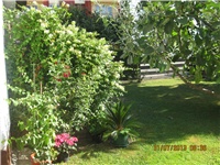60b7e366-055.JPG