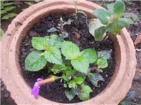 60d46ac5-DSCN0864.JPG