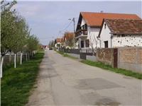 61302a10-P2100004.JPG