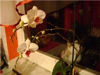 61327fda-DSC09915.JPG