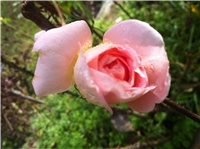 620fbb00-IMG_3052.JPG