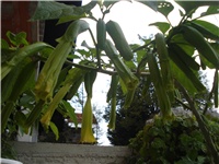 6286bb59-DSC06467.JPG