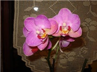 645cbc88-DSC06618.JPG