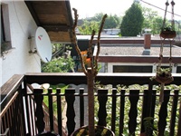 6473ef92-pokucarci_014.jpg