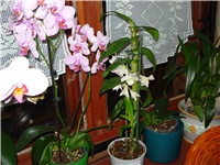 647a479f-DSC05688.JPG