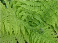 649fa884-P1010239.JPG