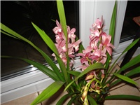 64b6baf9-DSC05894.JPG