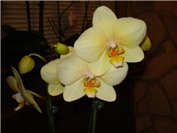 64fbdfa0-DSC06535.JPG