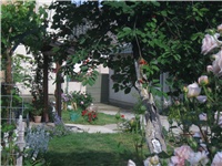 65a1bd87-IMG_0746.jpg