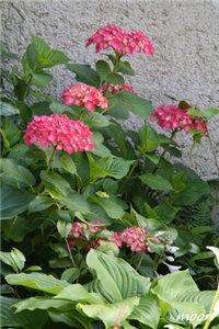 65e2d18d-IMG_2059.JPG
