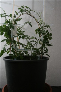 67ac6c91-IMG_2920.JPG