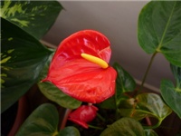 67bd0eab-P1010943.jpg