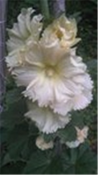 67cad86d-97203-2c3cacb65add3aaec926e5ab58e23efc.jpg