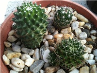 67e2eaff-040.JPG