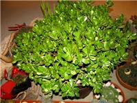 683c1d99-IMG_2742.jpg
