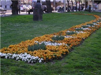 68627c8e-park-3.jpg