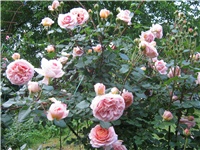 68d93af7-IMG_0697.jpg