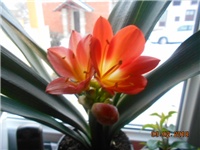 69546388-DSCN2649.JPG