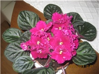 695cd083-131.JPG